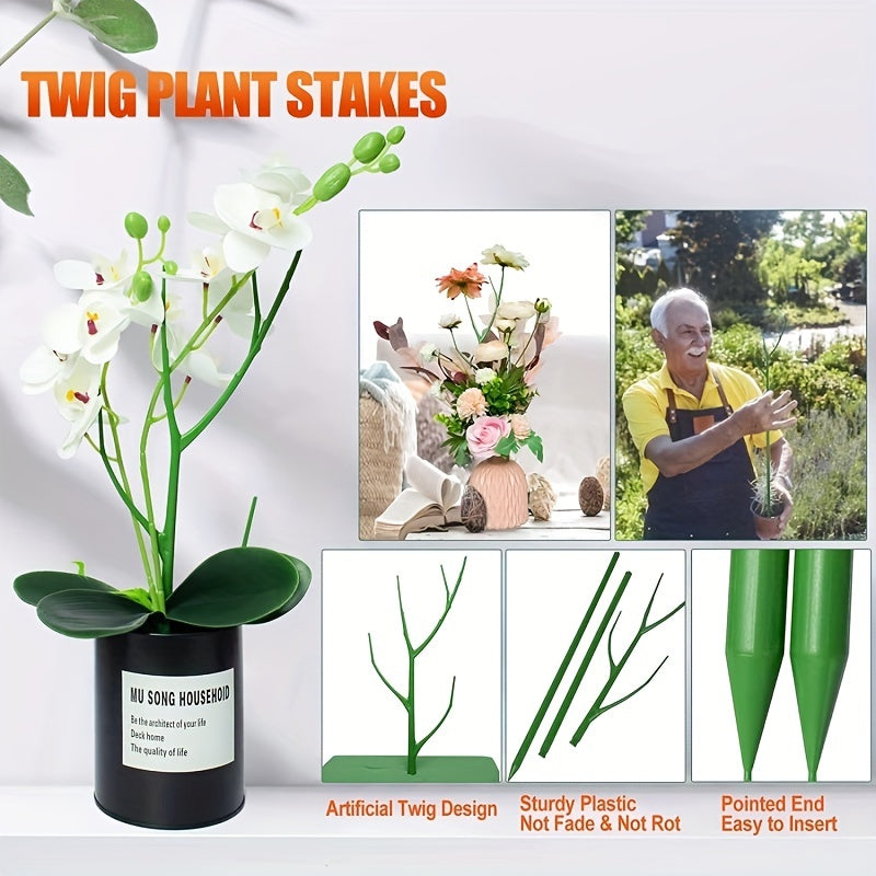 Plant Large Bracket Turtle Back Leaf Clematis Climbing Rattan Frame