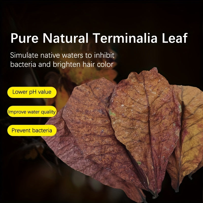Water Improving Terminalia and Lagoon Leaves