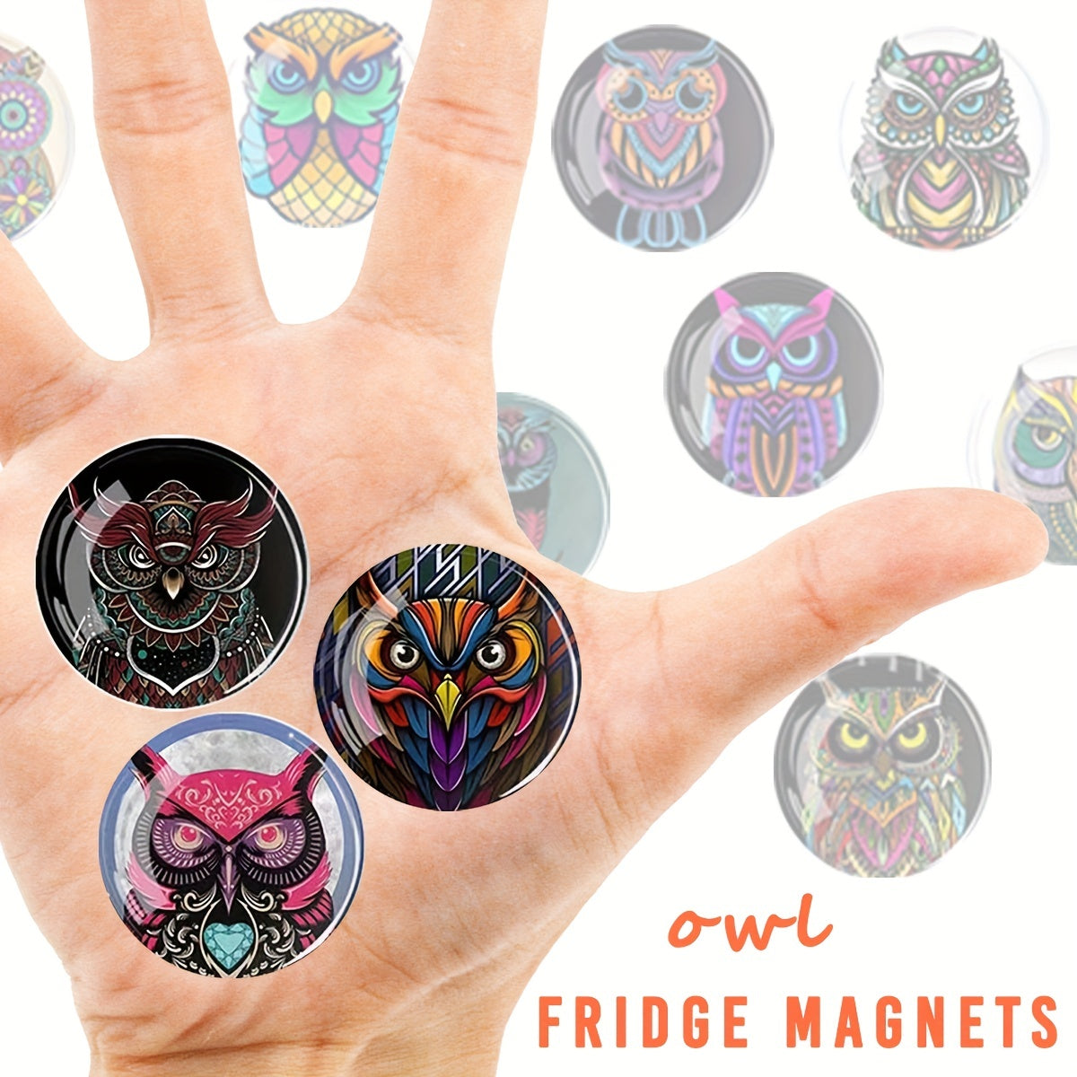 12pcs Owl Glass Refrigerator Magnets Decorative Office Kitchen Whiteboard Magnet