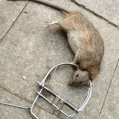 Mouse Trap Weasel Catch Spring Trapt Rodent Cage Mole Repeller Rat Trap