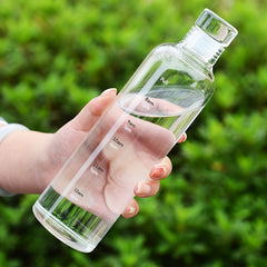 500ml Clear Leakproof Water Bottle With Time Scale - Lightweight Water Cup