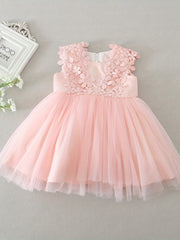 Baby Girls Floral Embroidered Princess Dress