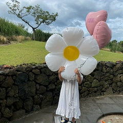 5pcs Daisy Aluminum Film Balloons for Parties and Events