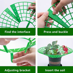 Strawberry Plant Supports Stand with 3 Legs