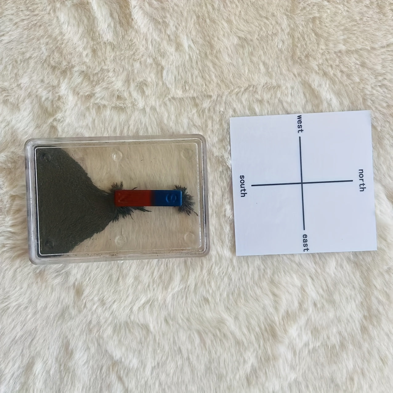 Magnetic Field Demonstration Kit with Iron Powder Magnets