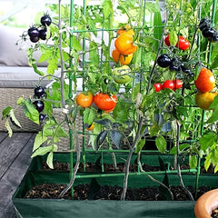 1pc Raised Garden Bed for Growing Herbs & Vegetables