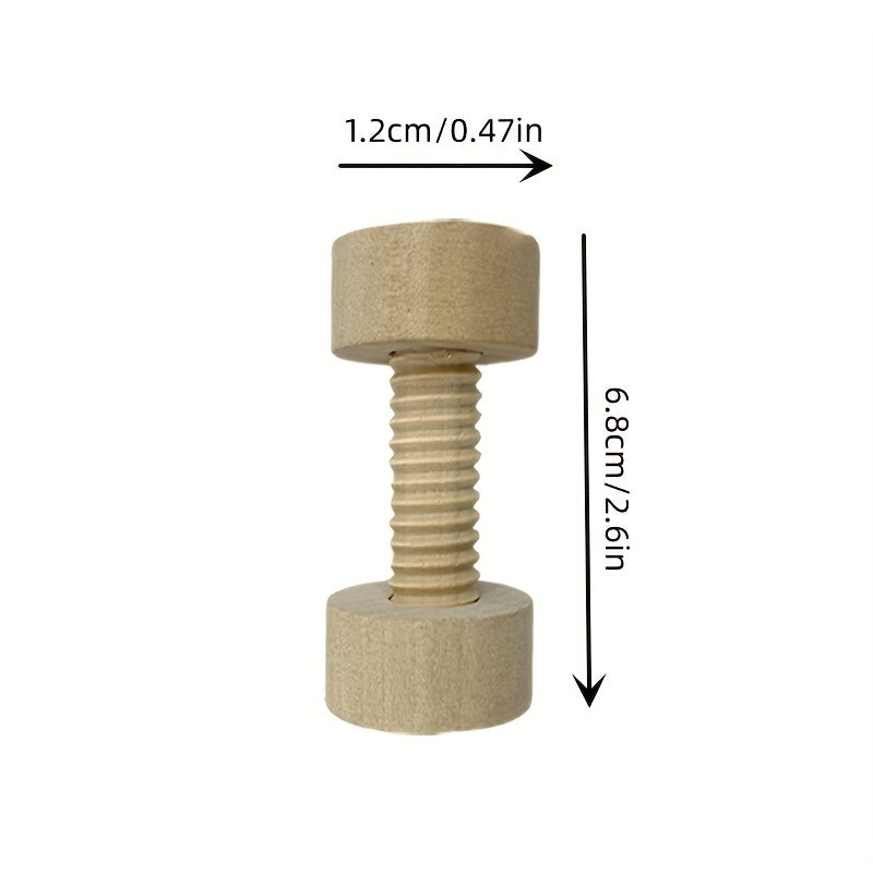 Wooden Screw Toy Set Matching Activity for Kids