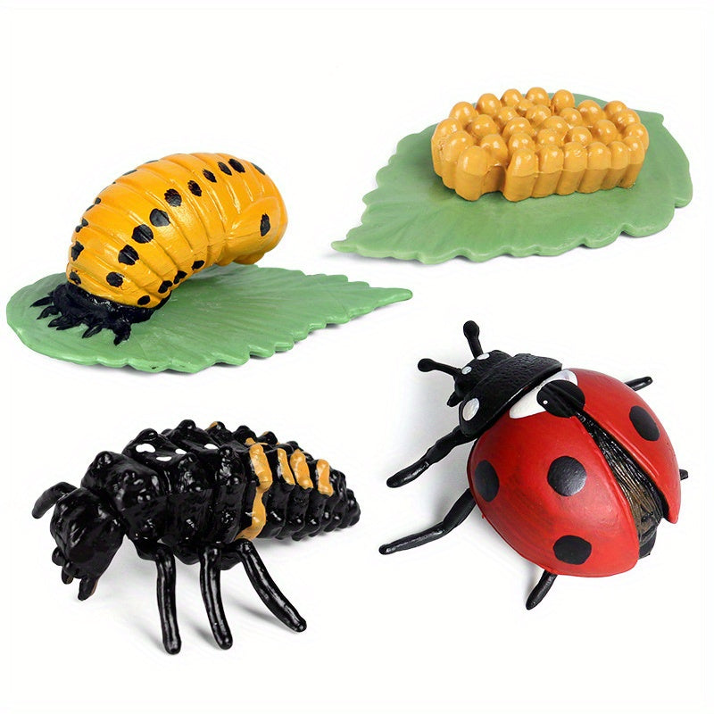 Preschool Plant & Animal Growth Model Set - Educational Toys