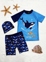 Toddler Boys Shark Swimsuit Set Short Sleeve Top & Shorts & Cap
