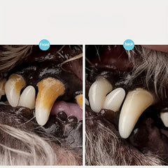 Pets Teeth Cleaning Tools Dental Stones Stainless Steel Scraper