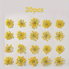 20pcs Natural Snowflake Dry Flower Embossing DIY Decorations
