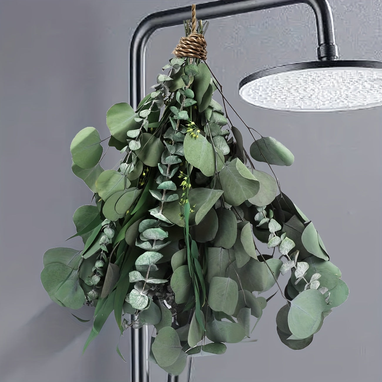 Mixed Dried Eucalyptus Bundle with Real Eucalyptus Stems