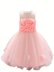 Flower Embroidered Princess Dress for Girls