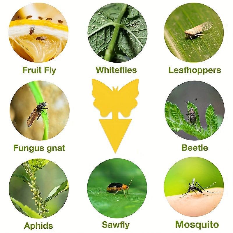 15pcs Fruit Fly Trap Sticky Plant Yellow Trap
