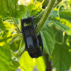 30pcs Plant Vine Clips Branch Fastener Tomato Cucumber Climbing Clips