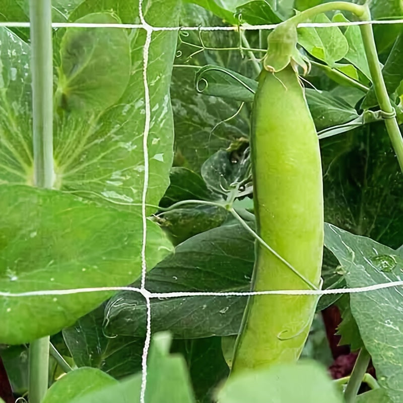 Heavy Duty 5x15ft Garden Trellis Netting
