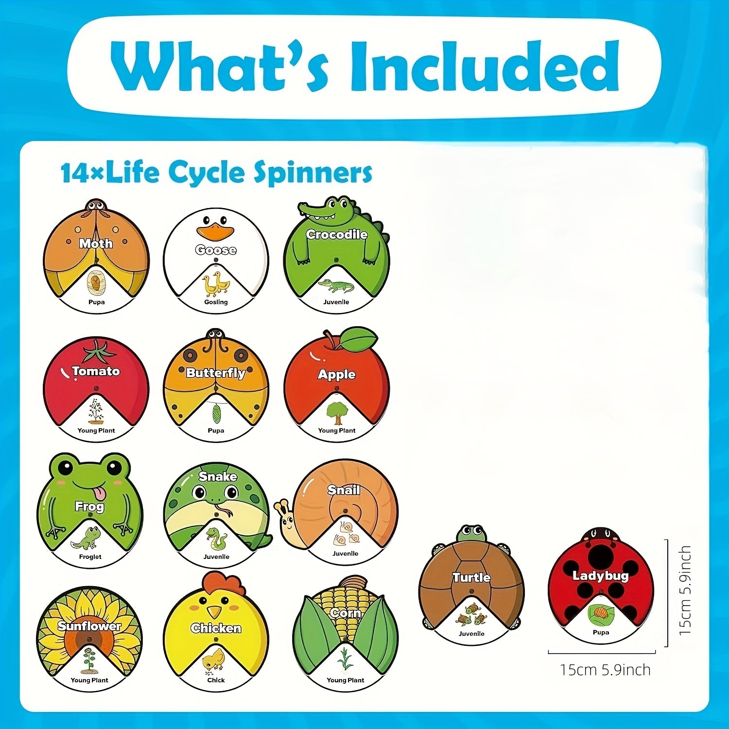 Kids Felt Lifecycle Toys - Educational Tools for ECD
