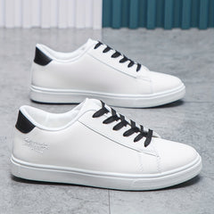 Comfortable Lace-up Walking Skate Shoes for Men and Women