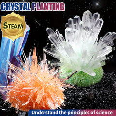DIY Crystal Growth Science Education Toy