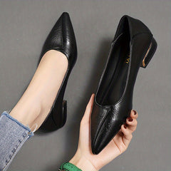 Women's Pointed Toe Low Heels Soft Sole Faux Leather Shoes