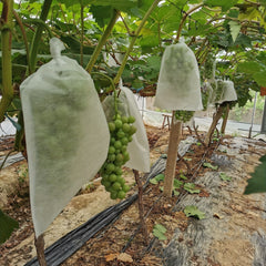 200pcs Non-woven Grape Bag Lotus Mist Bird Proof Fruit Bag 6-7 inch