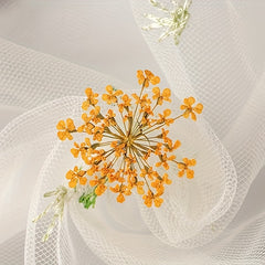 20pcs Natural Snowflake Dry Flower Embossing DIY Decorations
