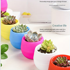 1pc Succulent Planter Mini Plastic Ishimaru Planter