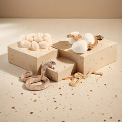 Snake Growth Cycle Sensory Toy with Habitat