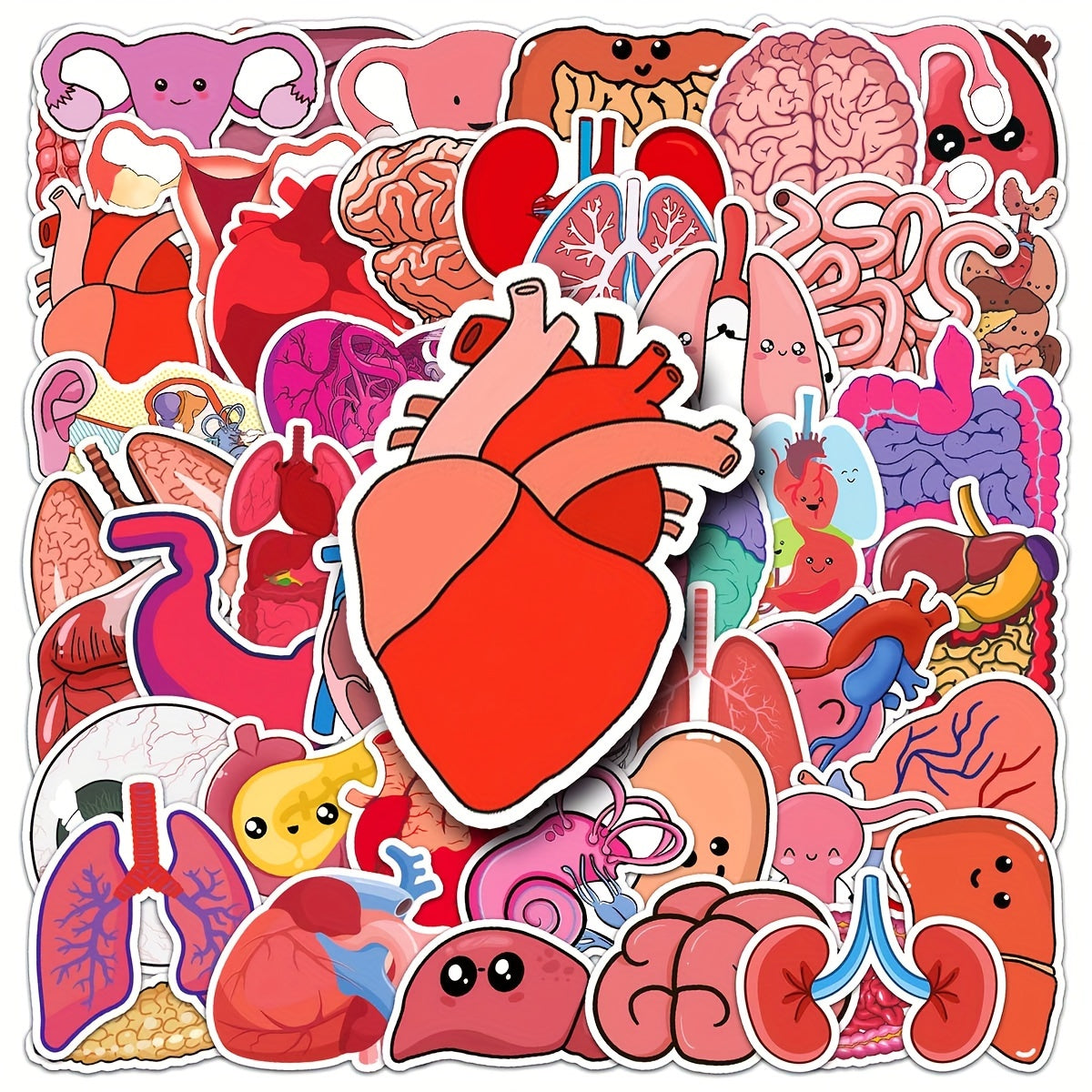 50pcs Human Biology Stickers Waterproof Scrapbook Laptop Skateboard