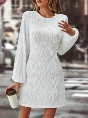  Lantern Sleeve A Line Mini Dress