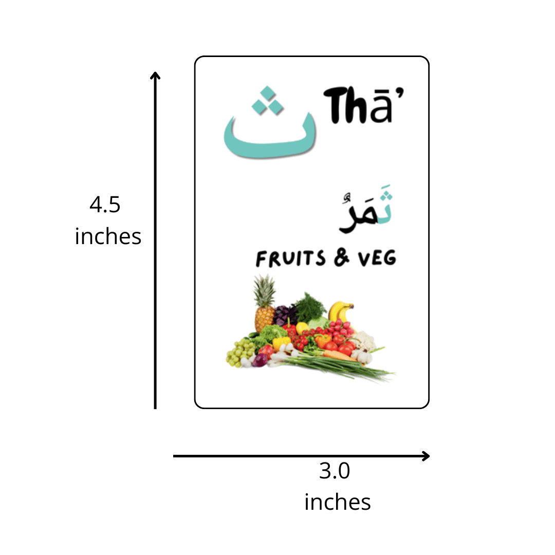 Arabic Alphabet Learning Kit Flashcards Marker Activity Cards
