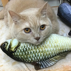 1pc Fish Cat Toys Interactive Kitten Chew Toys Pet Supplies