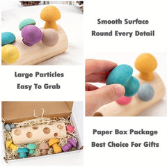 Wooden Macaroon Mushroom Toy for Babies