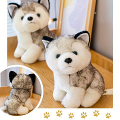 Husky Plush Toy Maojian Dog Long Plush Animal Doll Gift