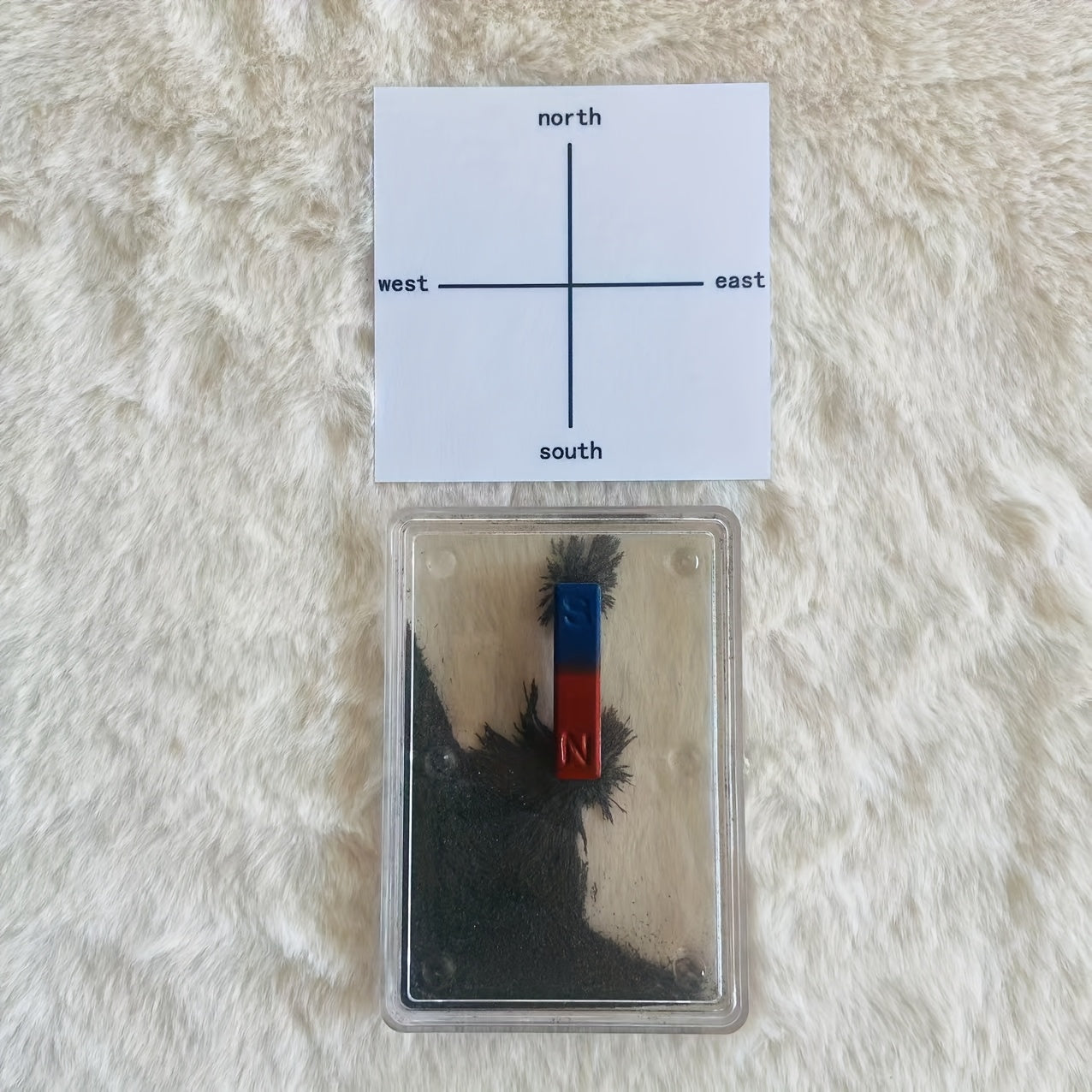 Magnetic Field Demonstration Kit with Iron Powder Magnets
