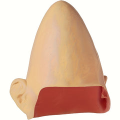 Realistic Conehead Alien Skull Prop Beige to Reddish Brown Gradient