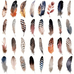 50pcs Feather Stickers for Skateboards Computers Bookshelves