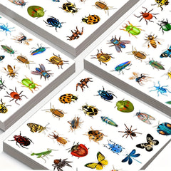 50pcs Insect Spider Cartoon Stickers for DIY Water Cup Computer Phone Skateboard