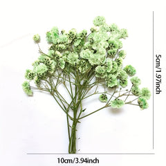 10 Pcs Natural Gypsophila Bouquet for Decor & Photography