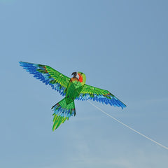 Green Parrot Kite D Handle Flying Lines Easy Setup Easy Fly Family Games