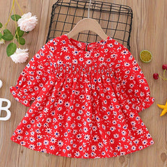 Baby Girls Floral Shirred Puffy Long Sleeve Dress