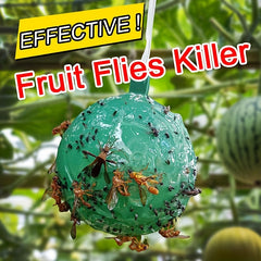 Fruit Fly Bait Trap Large Sticky Insect Ball Citrus Fruit Pest Control