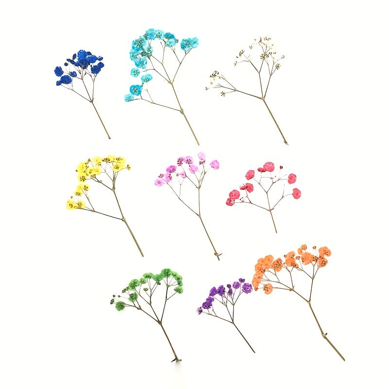 10 Pcs Natural Gypsophila Bouquet for Decor & Photography
