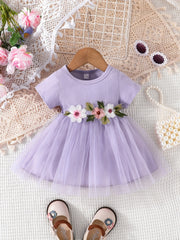 Floral Embroidery Short Sleeve Mesh Dress for Baby Girl