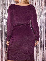  Solid Shinny Long Sleeve Cowl Neck High Stretch Dress