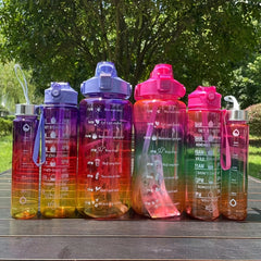 Gradient Leakproof Water Bottle with Time Marker and Straw Cup