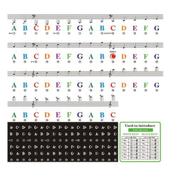 Piano Keyboard Sticker Set Easy to Apply and Remove