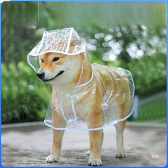 Transparent Pet Raincoat Outdoor Pet Supplies Puppy Hooded Raincoat