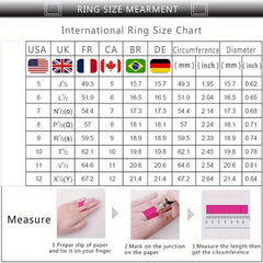 925 Silver Plated Micro Pave Zircon Engagement Ring