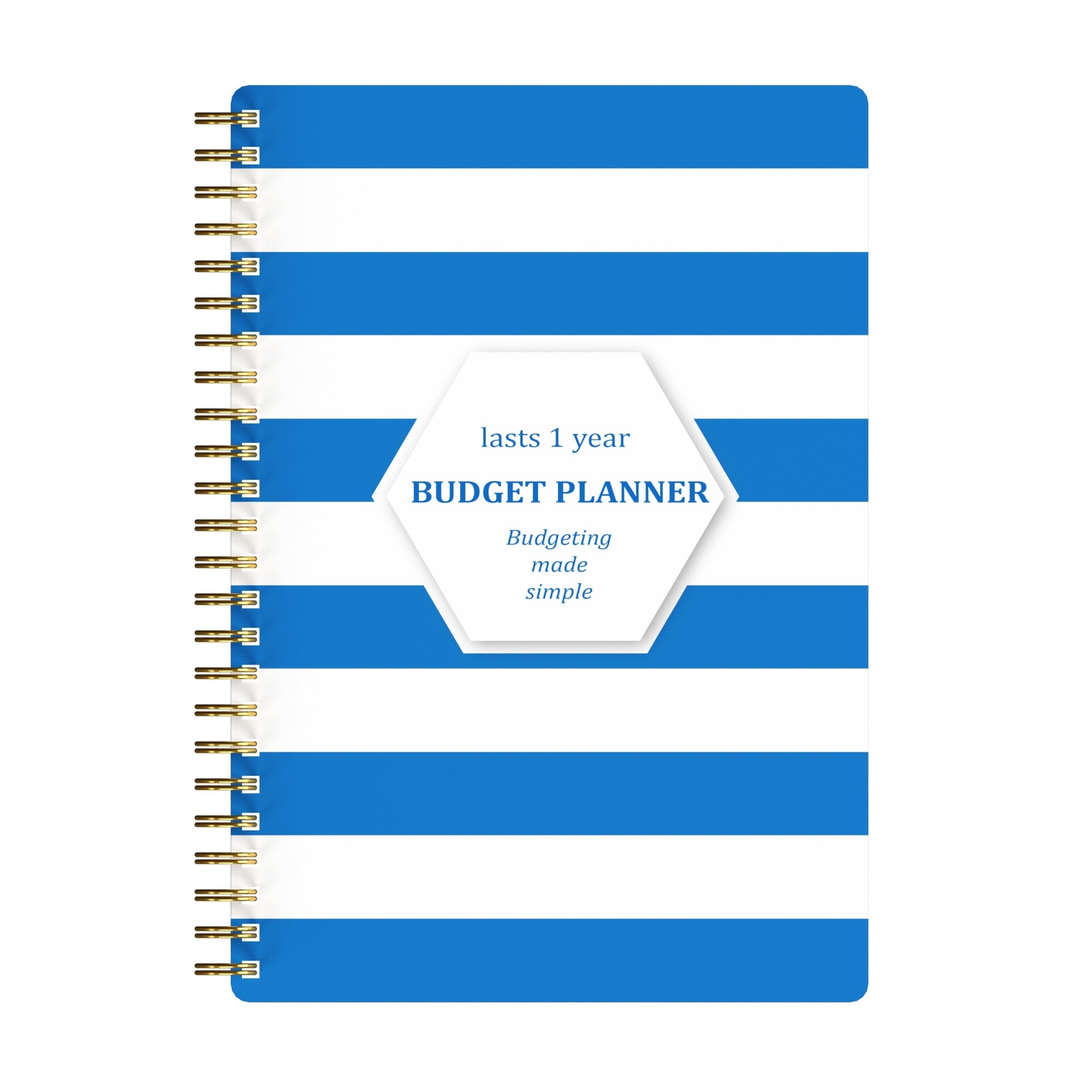 Budget Planner A5 Undated Notebook 100gsm Paper